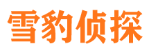 通榆市侦探公司